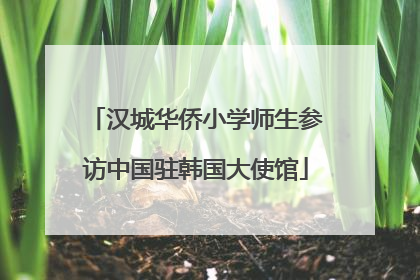 汉城华侨小学师生参访中国驻韩国大使馆