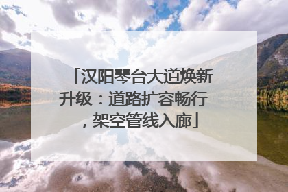 汉阳琴台大道焕新升级：道路扩容畅行，架空管线入廊