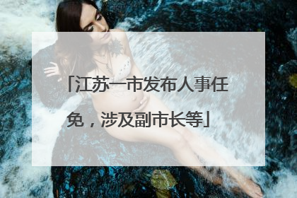江苏一市发布人事任免，涉及副市长等