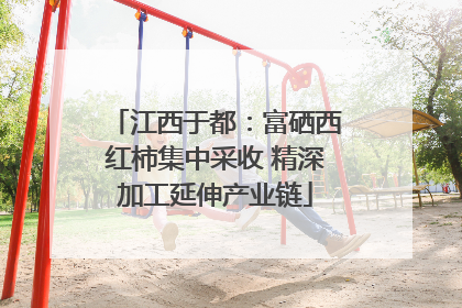 江西于都：富硒西红柿集中采收 精深加工延伸产业链