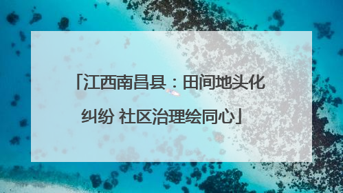 江西南昌县：田间地头化纠纷 社区治理绘同心