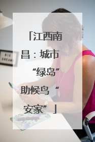 江西南昌：城市“绿岛”助候鸟“安家”