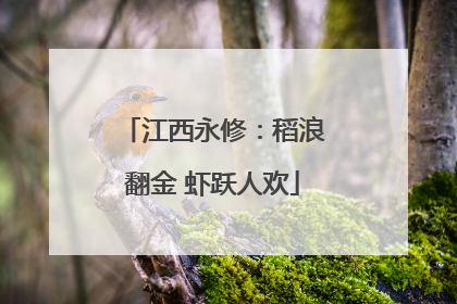江西永修：稻浪翻金 虾跃人欢