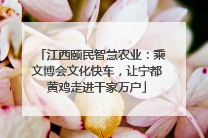 江西颐民智慧农业：乘文博会文化快车，让宁都黄鸡走进千家万户