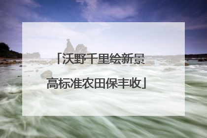 沃野千里绘新景 高标准农田保丰收