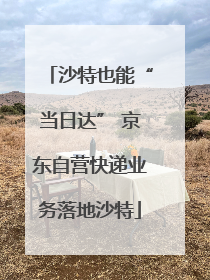 沙特也能“当日达” 京东自营快递业务落地沙特