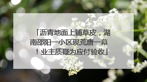 沥青地面上铺草皮，湖南邵阳一小区现荒唐一幕！业主质疑为应付验收