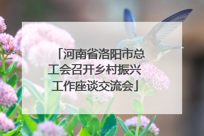 河南省洛阳市总工会召开乡村振兴工作座谈交流会