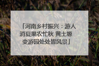 河南乡村振兴：游人消夏果农忙秋 黄土塬变游园处处皆风景