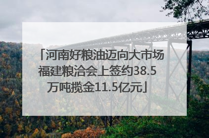 河南好粮油迈向大市场 福建粮洽会上签约38.5万吨揽金11.5亿元
