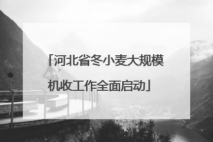 河北省冬小麦大规模机收工作全面启动