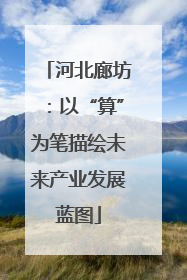 河北廊坊：以“算”为笔描绘未来产业发展蓝图