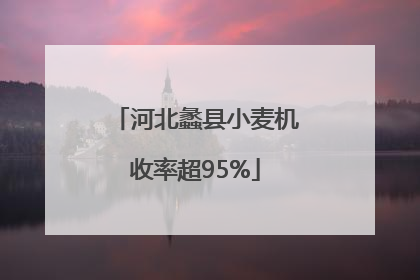 河北蠡县小麦机收率超95%