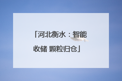 河北衡水：智能收储 颗粒归仓
