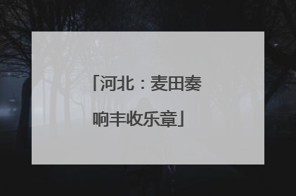 河北：麦田奏响丰收乐章