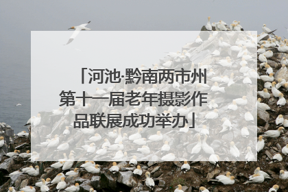 河池·黔南两市州第十一届老年摄影作品联展成功举办