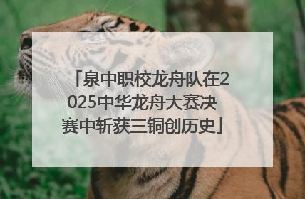 泉中职校龙舟队在2025中华龙舟大赛决赛中斩获三铜创历史