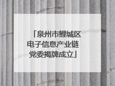 泉州市鲤城区电子信息产业链党委揭牌成立