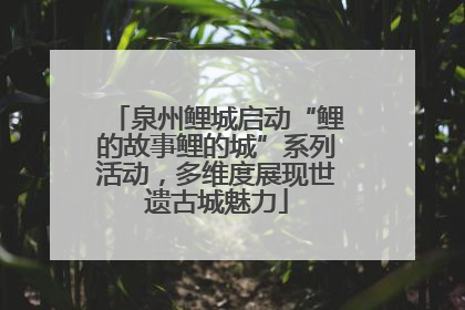 泉州鲤城启动“鲤的故事鲤的城”系列活动，多维度展现世遗古城魅力
