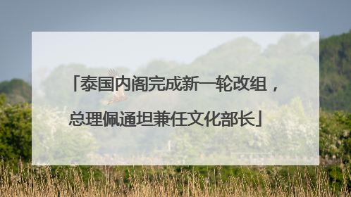 泰国内阁完成新一轮改组，总理佩通坦兼任文化部长