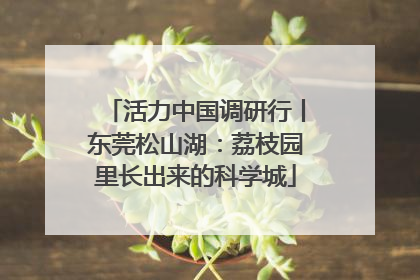 活力中国调研行丨东莞松山湖：荔枝园里长出来的科学城
