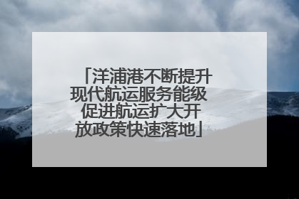 洋浦港不断提升现代航运服务能级 促进航运扩大开放政策快速落地