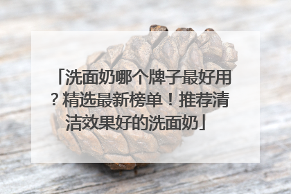 洗面奶哪个牌子最好用？精选最新榜单！推荐清洁效果好的洗面奶