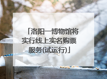 洛阳一博物馆将实行线上实名购票服务(试运行)