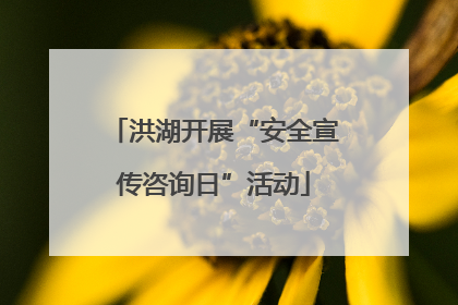 洪湖开展“安全宣传咨询日”活动