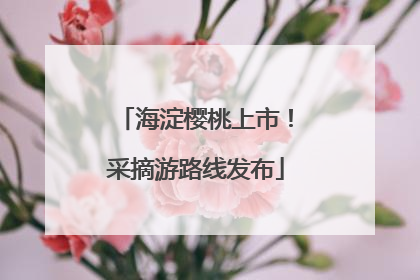海淀樱桃上市！采摘游路线发布