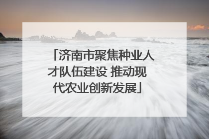 济南市聚焦种业人才队伍建设 推动现代农业创新发展
