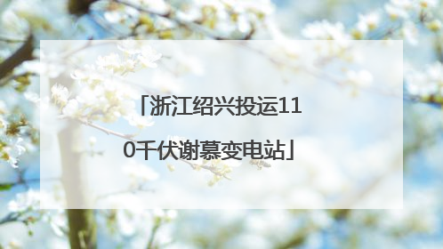 浙江绍兴投运110千伏谢慕变电站