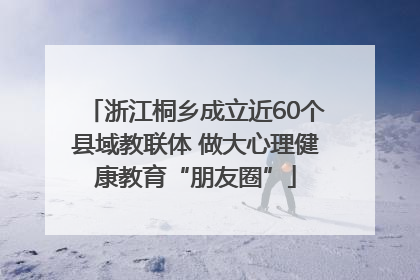 浙江桐乡成立近60个县域教联体 做大心理健康教育“朋友圈”