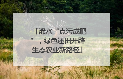 浠水“点污成肥”，绿色还田开辟生态农业新路径