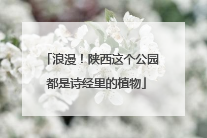 浪漫！陕西这个公园都是诗经里的植物
