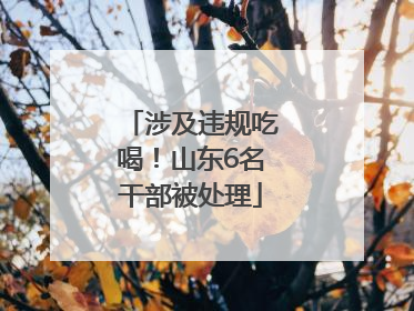 涉及违规吃喝！山东6名干部被处理