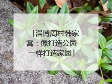 淄博周村韩家窝：像打造公园一样打造家园