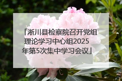 淅川县检察院召开党组理论学习中心组2025年第5次集中学习会议