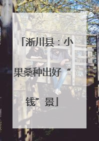 淅川县：小果桑种出好“钱”景