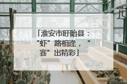 淮安市盱眙县：“虾”路相逢，“赛”出精彩
