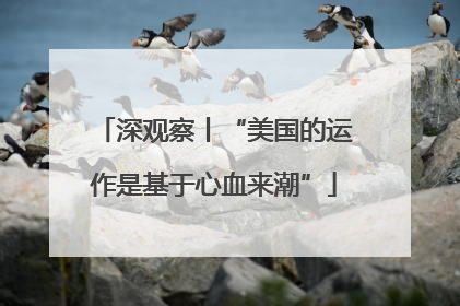 深观察丨“美国的运作是基于心血来潮”
