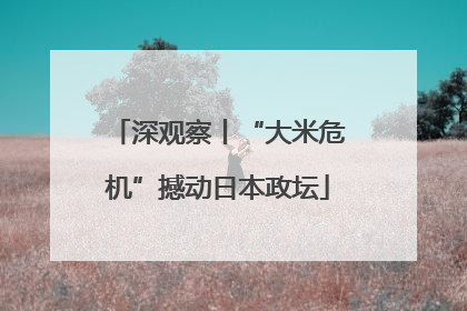 深观察丨“大米危机”撼动日本政坛