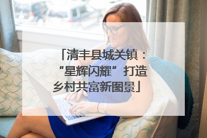 清丰县城关镇：“星辉闪耀”打造乡村共富新图景