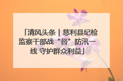 清风头条｜慈利县纪检监察干部战“督”防汛一线 守护群众利益