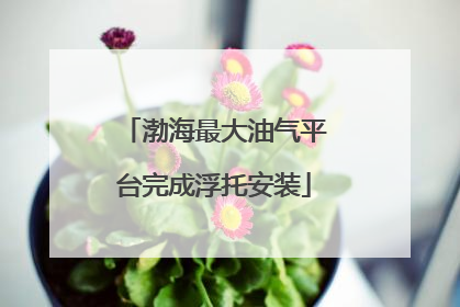 渤海最大油气平台完成浮托安装