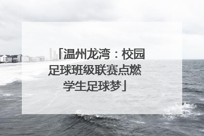 温州龙湾：校园足球班级联赛点燃学生足球梦