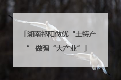 湖南祁阳做优“土特产” 做强“大产业”