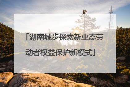 湖南城步探索新业态劳动者权益保护新模式