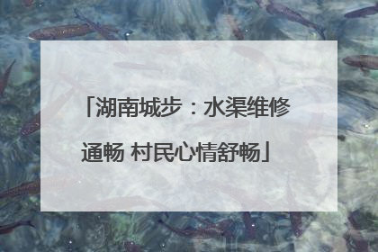 湖南城步：水渠维修通畅 村民心情舒畅