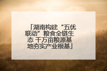 湖南构建“五优联动”粮食全链生态 千万亩粮源基地夯实产业根基
